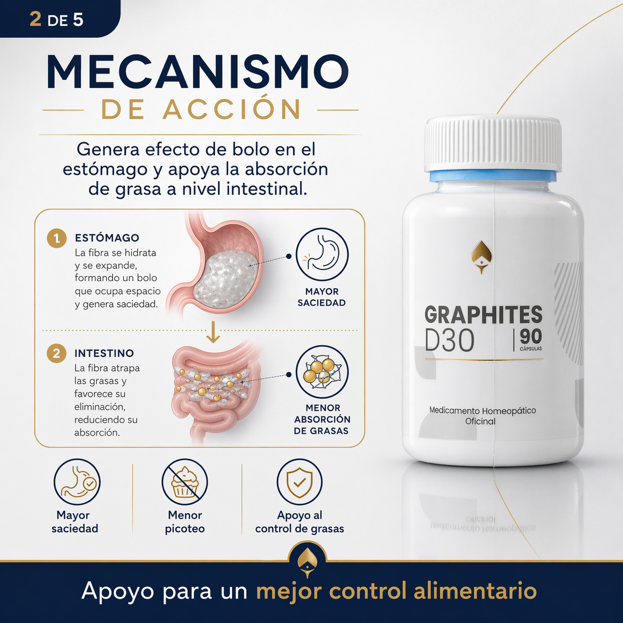 Graphites "disminuye la absorción de grasa y mejora el metabolismo"